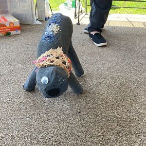 Meet your Posher, Sky